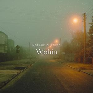 Wohin (feat. nofaceforanyone) [Explicit]