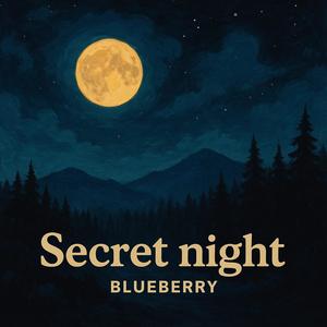 Secret night