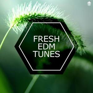 Fresh EDM Tunes