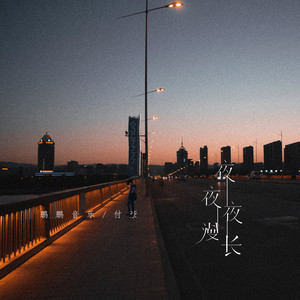 鹏鹏 - 夜夜夜漫长