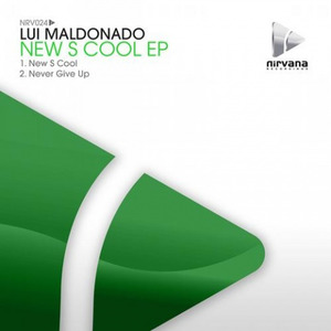 Never Give Up  - remix (Original Mix)