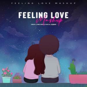 Feeling Love (Mashup)