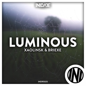 Luminous (Original Mix)