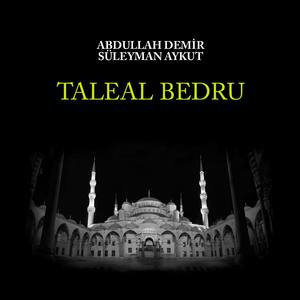 Taleal Bedru