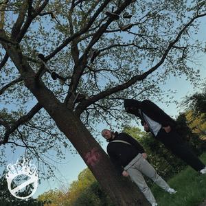 gestern war doch alles noch okay. (feat. BIGGS 7) (Explicit)