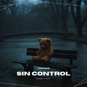 Sin Control