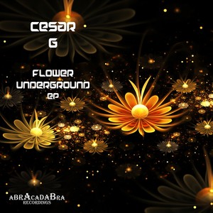 Flower Underground (Original Mix)