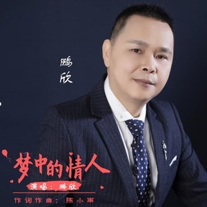 梦中的情人