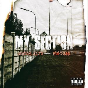 My Sectión (feat. Murdaaa1) [Explicit]