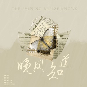 刻羽流徵聆音阁 - 晚风知道