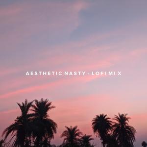 Aesthetic Nasty (Lofi Mix)