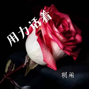 胡闹 - 用力活着 (Live)