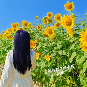 穿纯白裙子的女孩伴奏版 (伴奏)