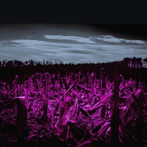 Where Nothin' Grows (Explosive Mix)