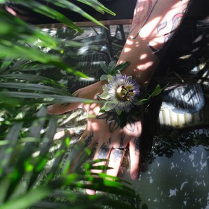 약속 (Promise) (约定)