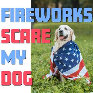 Fireworks Scare My Dog (Radio Edit)