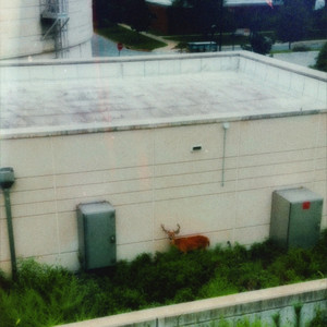 Find Your Way (Explicit)