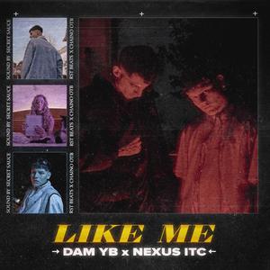 Like Me (feat. Dam SSJ, RST BEATS & Chaino OTB)