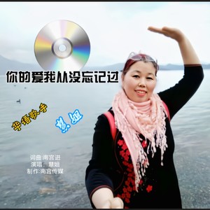 你的爱我从没忘记过