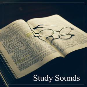 Study Sounds – Calming Relaxing Music for Reading, New Age Music for Exam Study, Better Focus and Study, Study Sounds, Nature Sounds