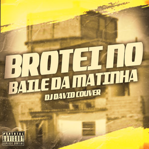 MTG Brotei No Baile Da Matinha (Explicit)