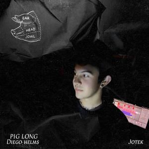 Pig Long