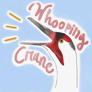 Whooping Crane