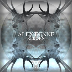 Reborn (Original Mix)