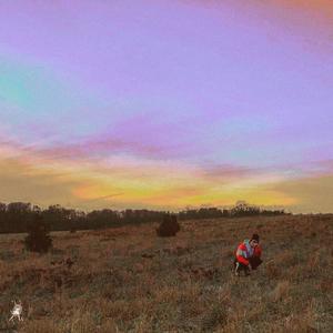 Phoenix (Explicit)