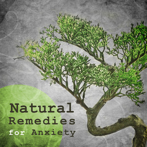 Peaceful Sounds of Nature