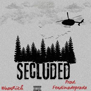 Secluded (Explicit)