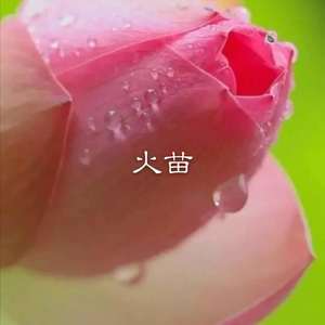 老人与海 (DJ版)