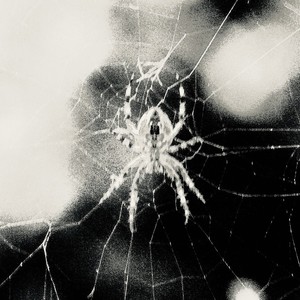 ALLIEGENCE TO THE G (Instrumental)