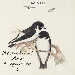 Beautiful And Exquisite 2 (Explicit)