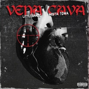 Vena Cava (Explicit)