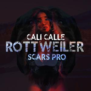 Rottweiler (feat. Scars Pro) [Explicit]