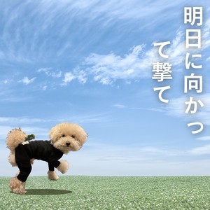 明日に向かって撃て (feat. 梵そよぎ & 知声)