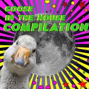 Goose In The House COMPILATION