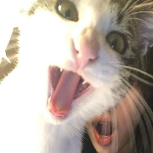 Check (feat. Jarii) (Explicit)