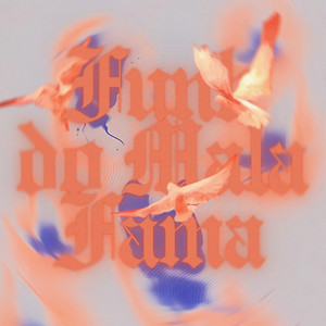 FUNK DO MALAFAMA (Ultra Slowed)