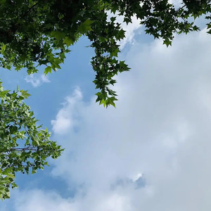 抬头的一片天 (Inst.)