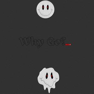 Why Go?...