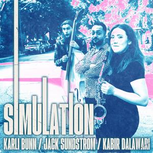 Simulation