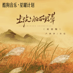 卢润泽_宫巴-土坡上的狗尾草 (双语版)[MP3_LRC]_MP3下载