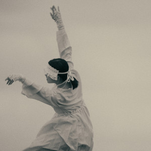 みにくいアヒルの子