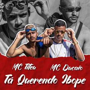 Tá Querendo Ibope (DJ BR4 Remix|Explicit)