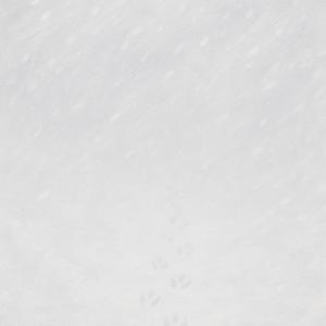 Dick was auf die Ohren (feat. E1T1 & Aldo) (2006 Version)