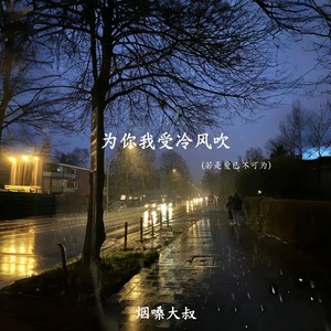 为你我受冷风吹(若是爱已不可为)