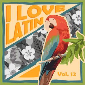 I Love Latin, Vol. 12