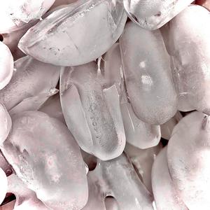 icehead(feat. Indigo Smith Oles) (Explicit)